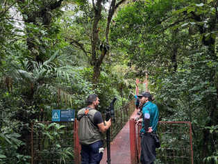 Birdwatching in Monteverde: A Complete Guide for Nature Lovers