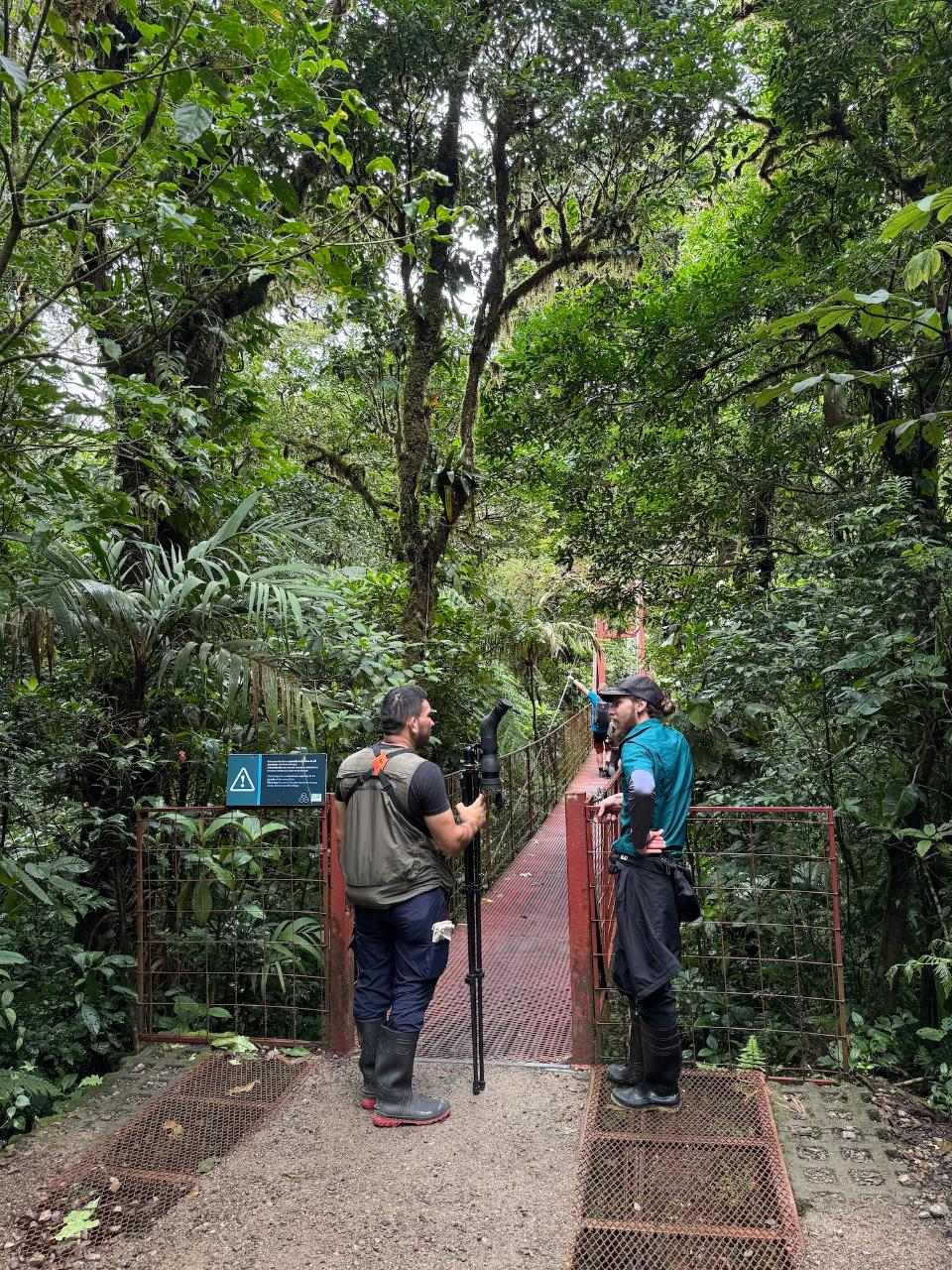 Birdwatching in Monteverde: A Complete Guide for Nature Lovers