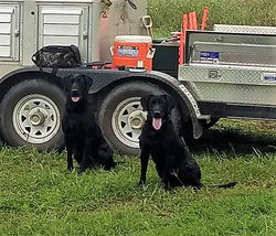 39589363_2144169839133185_88695407253609