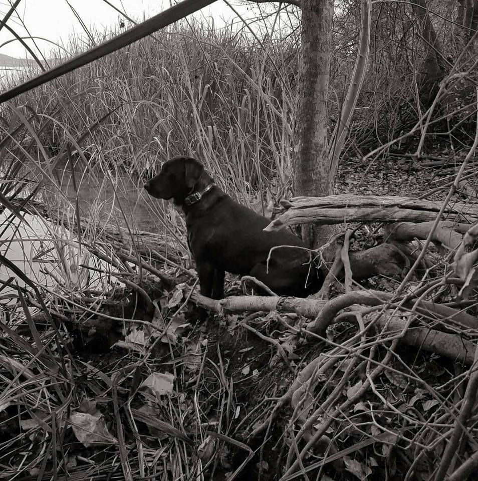 33522958_2063633287186841_1851833784563924992_n