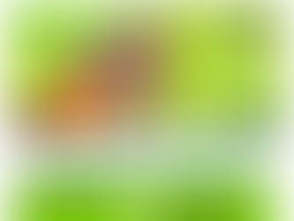 Faites de l'argent avec vos produits agricoles !