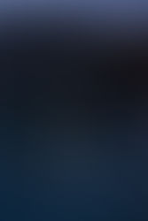 Humans of the Lagoon: sensing Venice’s celestial veins