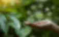 IT sustainable.webp
