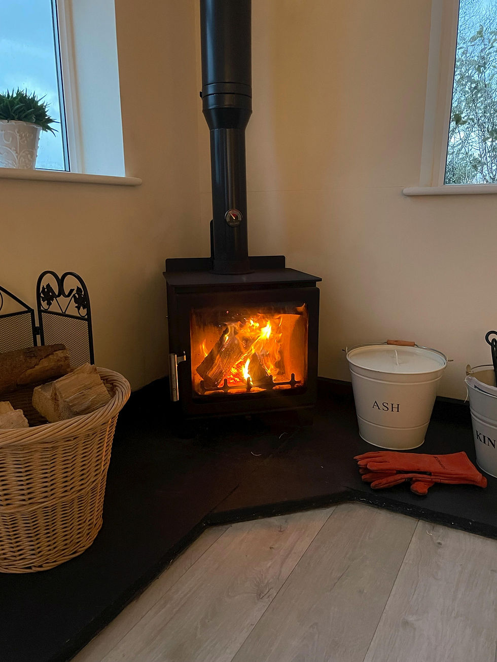 Exclusive Deal Alert: Newly fitted log burner at an unbeatable price! Transform your space with affo