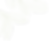 leaf02_edited_edited_edited_edited.png