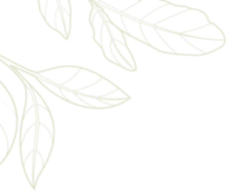 leaf02_edited_edited_edited_edited.png