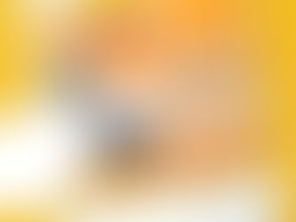 口袋喵 今年年底見~(◍•ᴗ•◍)ゝ
