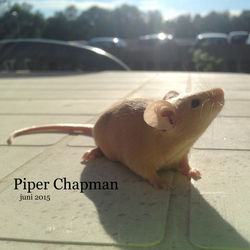 Piper Chapman