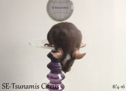 se-tsunamis circus