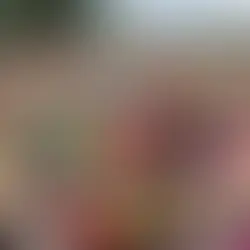 Acredite se quiser: MP quer arrar músicas "com baixaria" no
Carnaval da Bahia