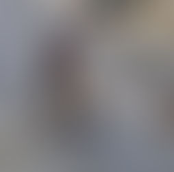 Confusão, latidos e miados: gato Danone ataca homem e cachorros no meio da rua em Parelhas