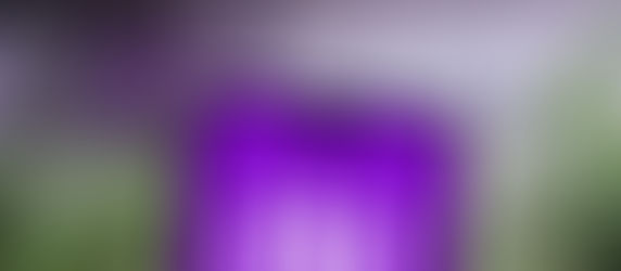 Nubank ultrapassa Petrobras e se torna a empresa mais valiosa do Brasil