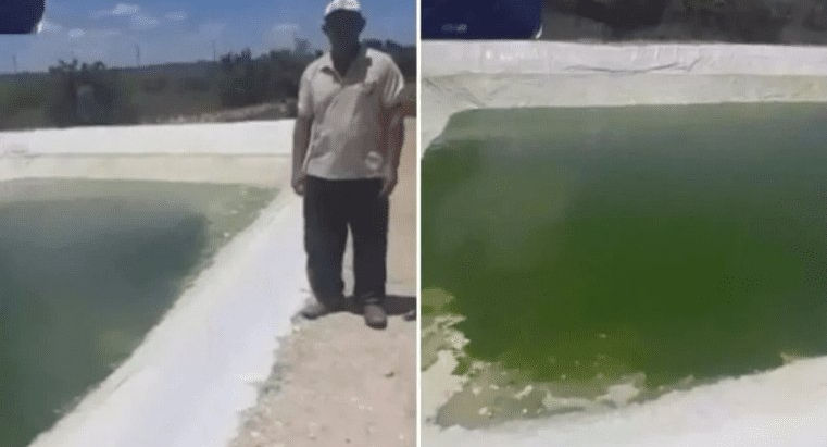 Homens furtam 500 kg de tilápia de tanque na comunidade de açucena na zona rural de João Câmara/RN