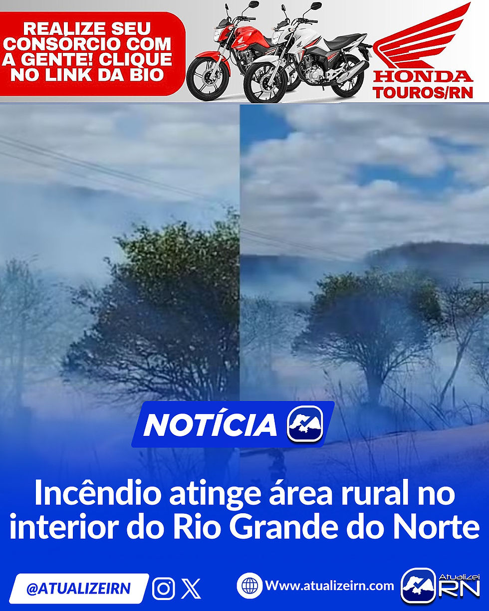 Foto: Reprodução 📸