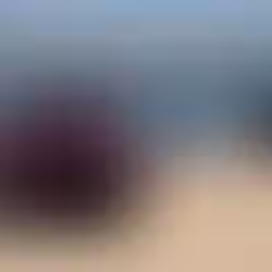 Corpo de turista mineiro que se afogou é encontrado em Pipa
