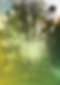 Screenshot 2025-05-29 143635.png