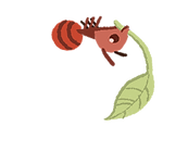 sauva.png