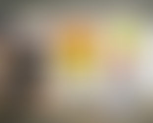 Library Poster & Bunting