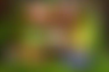 Nature Handmade Soap Project