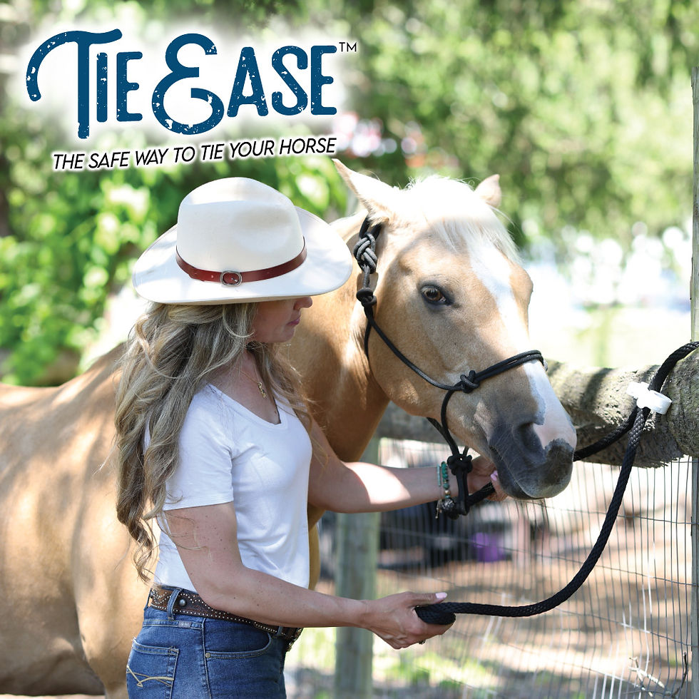 Thumbnail: Tie Ease - Horse Safety Tie - 2 pack