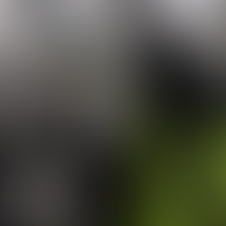 HELICOPTER CRASH IN UKRAINE FORESHADOWS AN UNKNOWN FUTURE