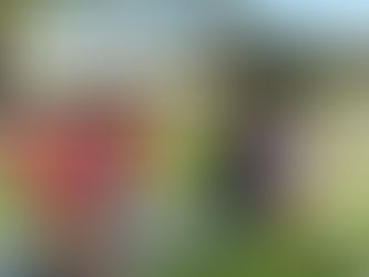 Two Classes of Freshmen: Welcoming Freshmen and Sophomores to Barry’s Campus