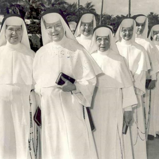 Barry’s Origin Story: Our Adrian Dominican History