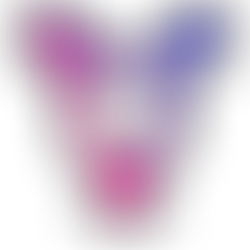 The Evolution of Women’s Sports at Barry - Equal Pay, Trans Athletes, & Beyond