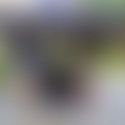 Hispanic Heritage Celebrations Came Back This Fall