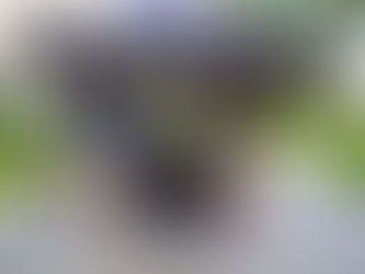 Hispanic Heritage Celebrations Came Back This Fall