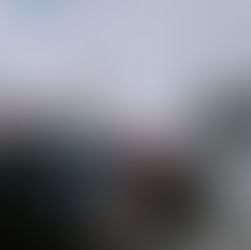 Is a Car Essential at Barry?