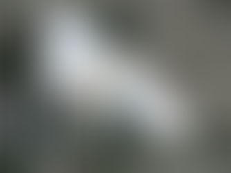 Game Changes - New Additions and Departures in the Upcoming Olympics