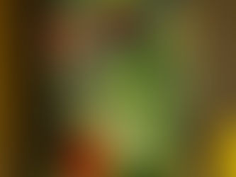 Combatting Food Insecurity in Underserved Communities: The Community Fridge Initiative