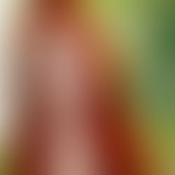 Writing for Film & TV: Gisselle Legere Visits Barry