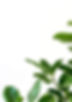 Background Pic.JPG
