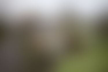 How Replacing Windows In A Period Property Using A Timber Alternative Is Easier Than You Might Think