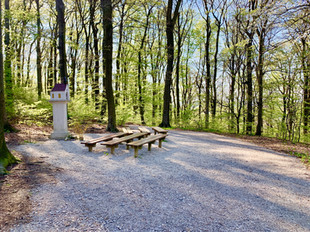 Klosterwald Wien Kahlenberg - Andachtsplatz