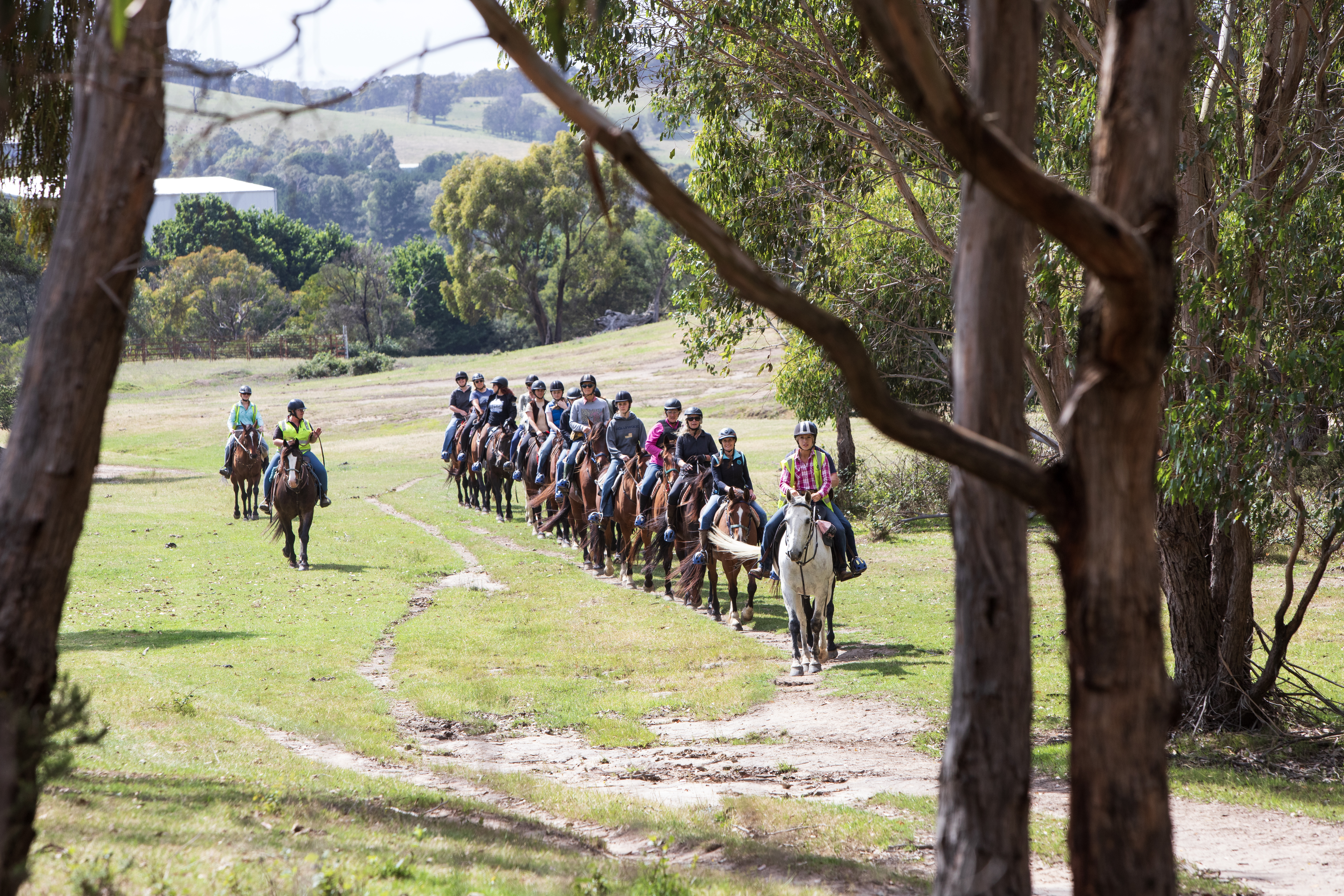 Uncle Nev's Trail Rides 騎馬照片