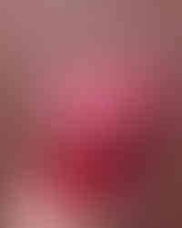 04 The X 2026.02.05  copy 1