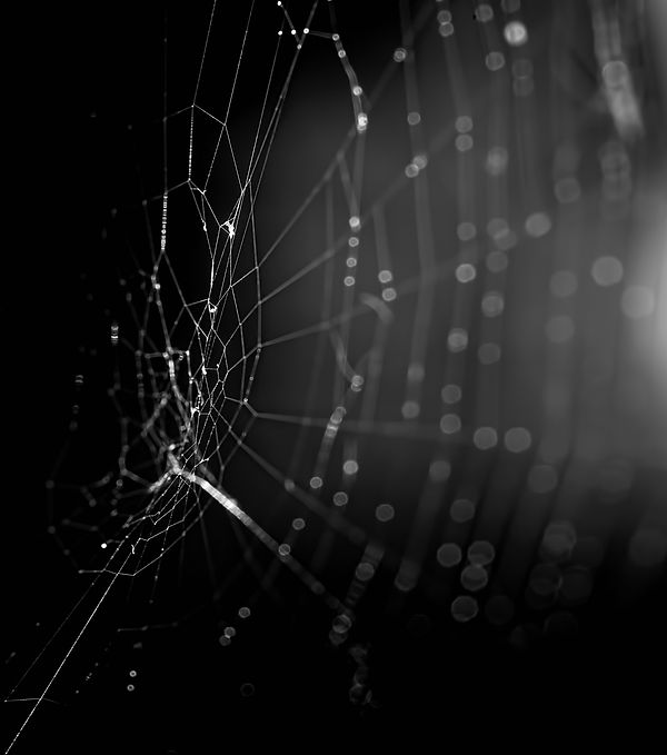 ricardo-gomez-angel-DpV__Z32awo-unsplash