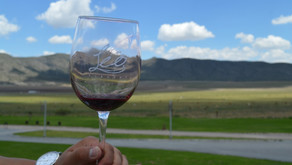 Los vinos del Valle de Parras Coahuila, en su mejor momento.