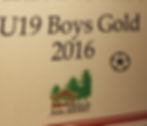 RISC U19 Gold League