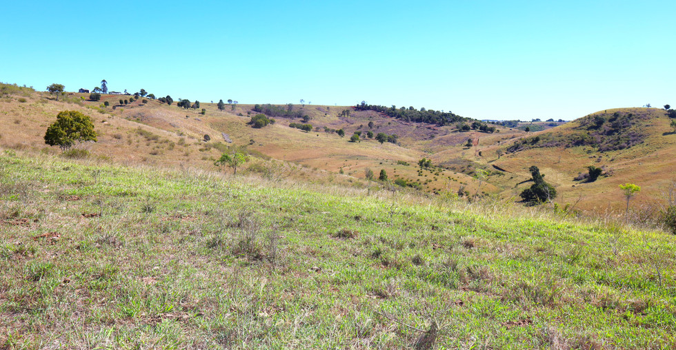 FOR SALE South Scrub Country at its finest!