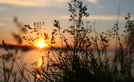 Mental Ease Psychiatry | Psychiatric Care & ADHD Treatment Miramar FL