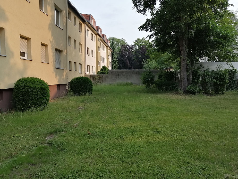 IMG_20250604_075348