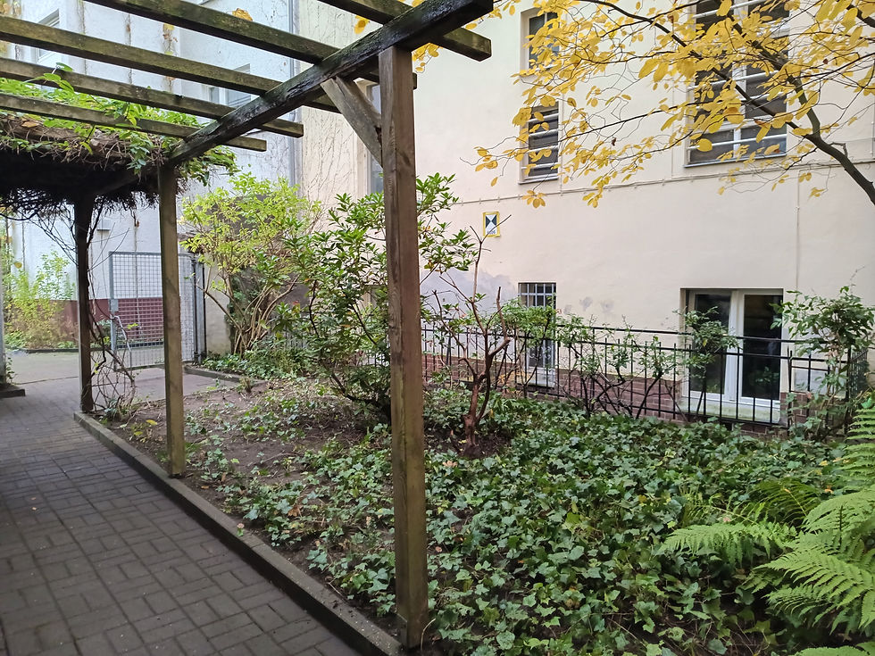 IMG_20251008_145911_573