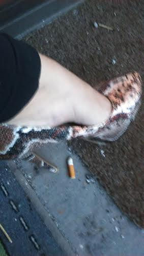snake skin 2.jpg