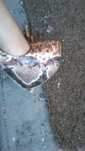 snake skin.jpg