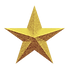 כוכב.png