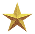 כוכב.png